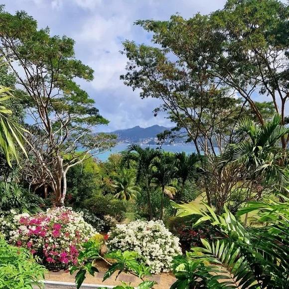 TAG LIST!!!! Like and comment to be tagged whenever I go live - Picture 5 of 6